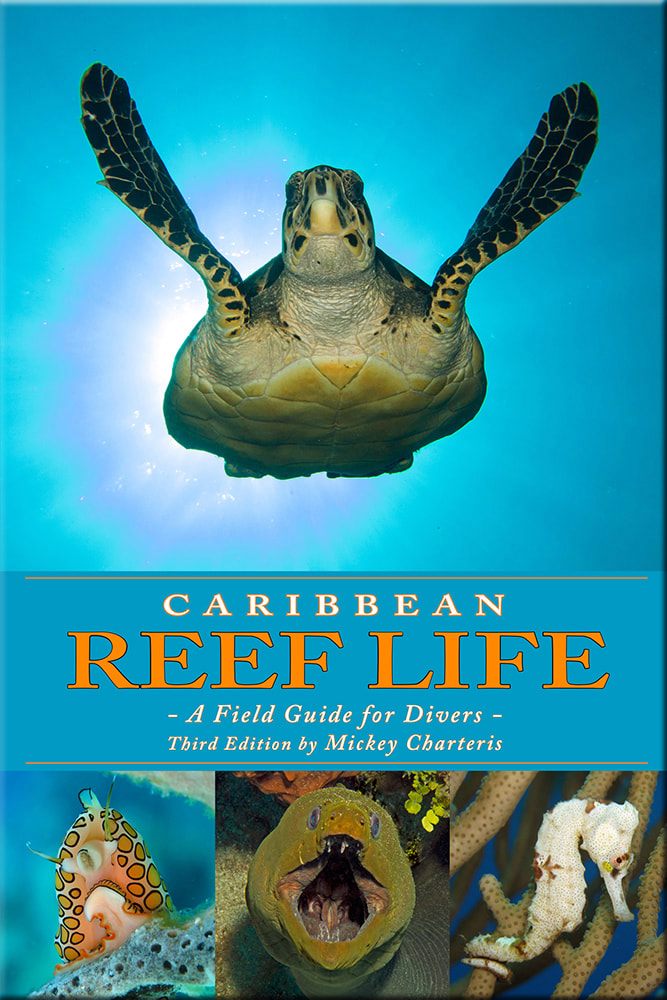 CARIBBEAN REEF LIFE. A FIELD GUIDE TO DIVERS 1