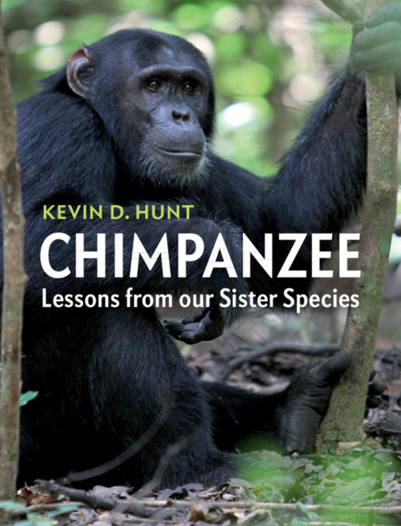 CHIMPANZEE. LESSONS FROM OUR SISTER SPECIES 1