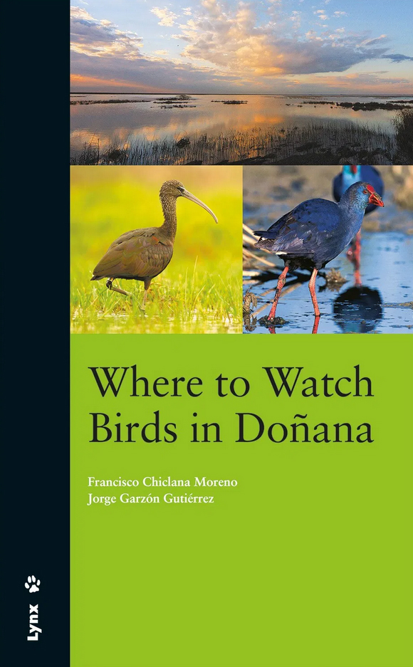 WHERE TO WATCH BIRDS IN DOÑANA 1