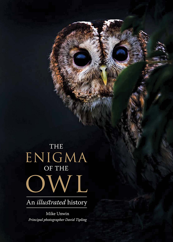 THE ENIGMA OF THE OWL: AN ILLUSTRATED NATURAL HISTORY 1