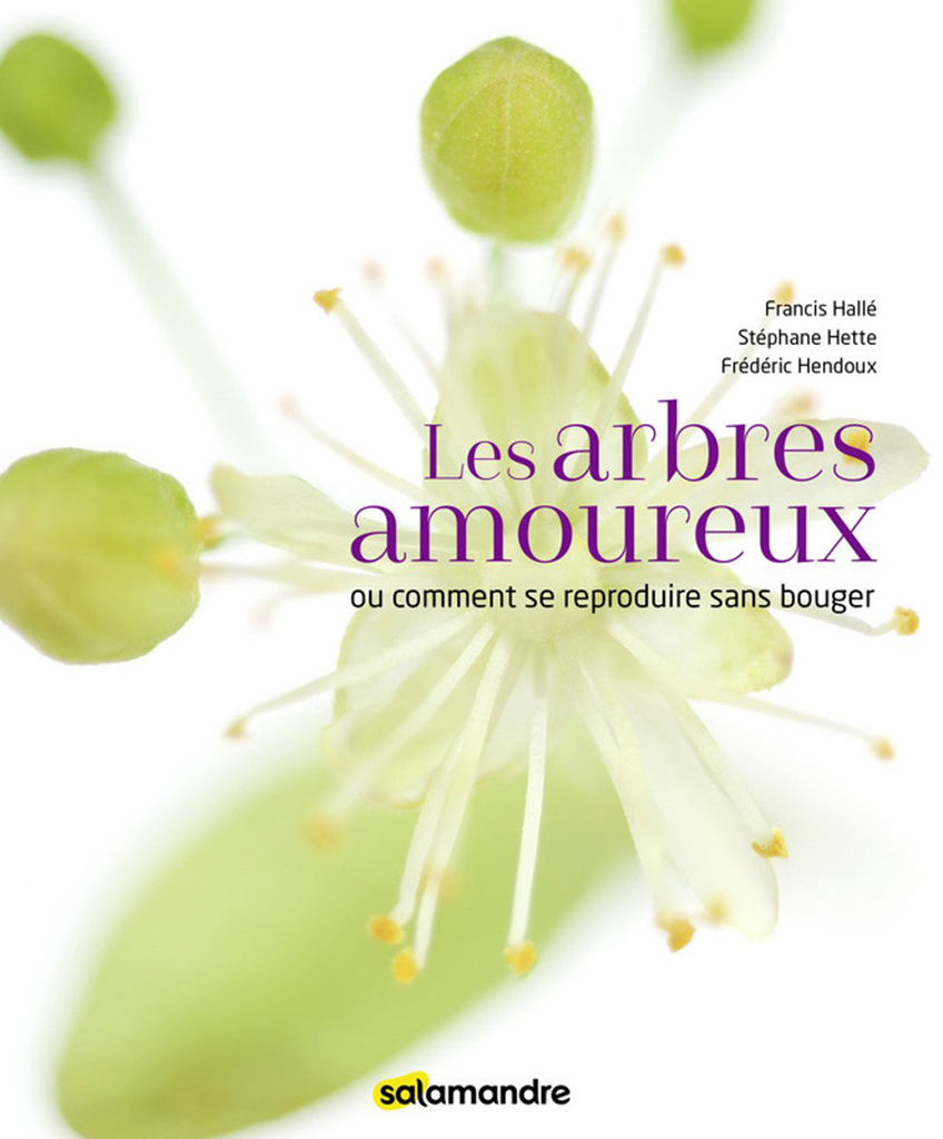 LES ARBRES AMOUREUX O COMMENT SE REPRODUIRE SANS BOUGER 1