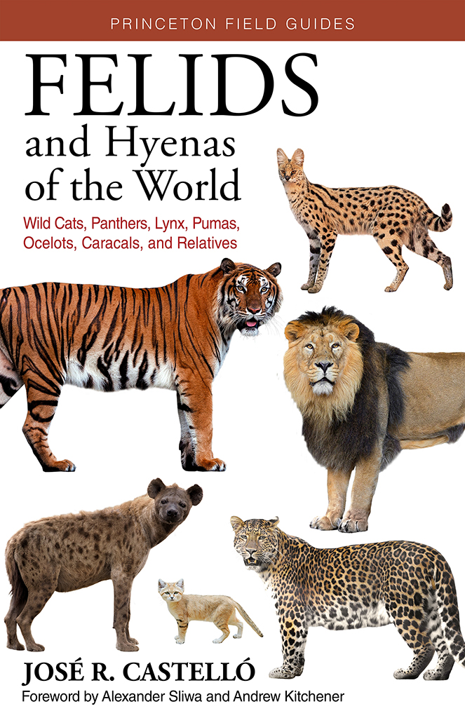 FELIDS AND HYENAS OF THE WORLD. WILD CATS, PANTHERS, LYNX, PUMAS, OCELOTS, CARACALS, AND RELATIVES 1