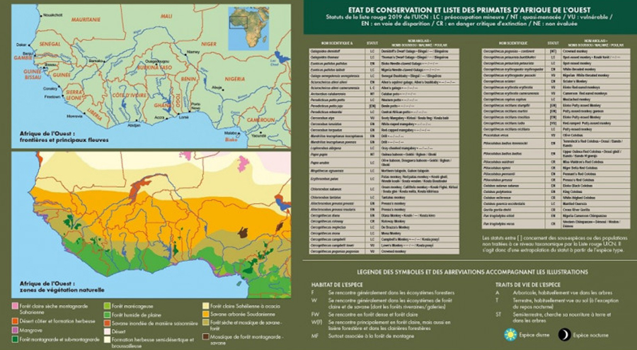 LES PRIMATES D'AFRIQUE DE L'OUEST. GUIDE D'IDENTIFICATION DE POCHE 3
