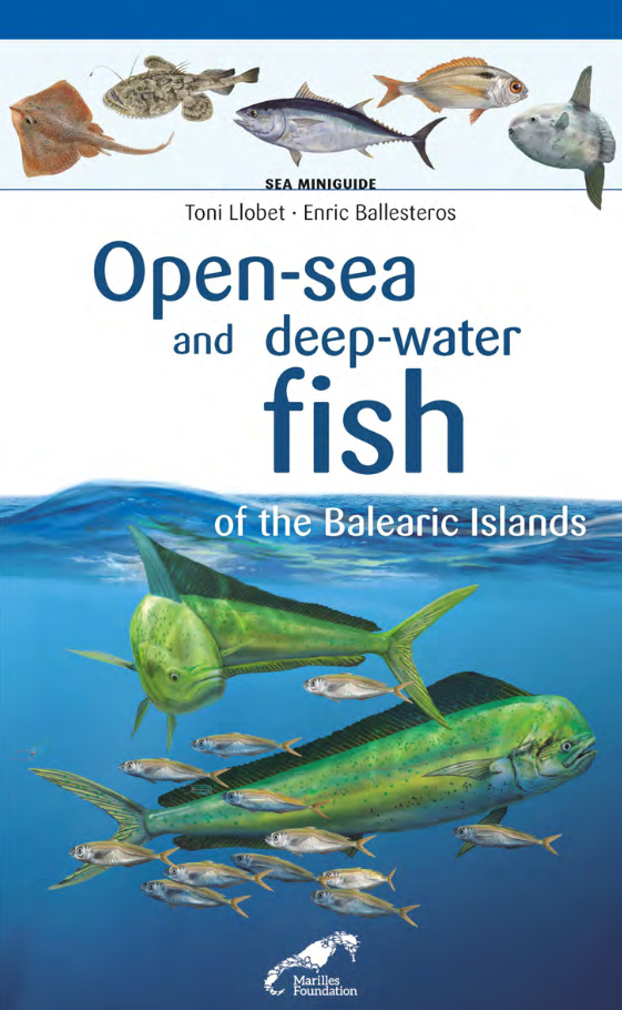 OPEN-SEA AND DEEP-WATER FISH OF THE BALEARIC ISLANDS. SEA MINIGUIDE 1