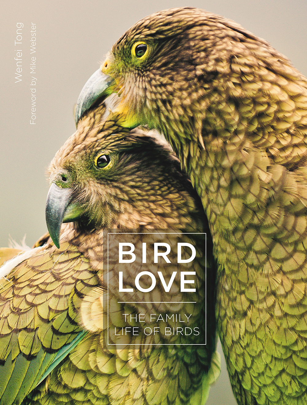 BIRD LOVE. THE FAMILY OF BIRDS 1