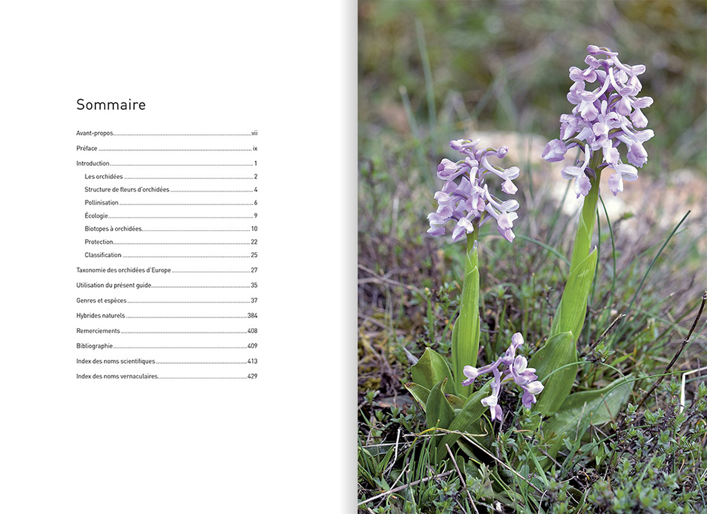 ORCHIDÉES D'EUROPE &AMP; DE MÉDITERRANÉE 2