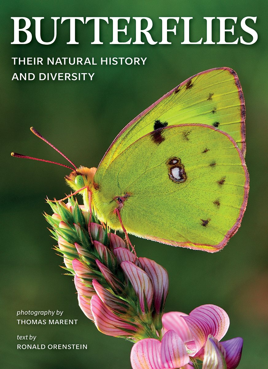 BUTTERFLIES. THEIR NATURAL HISTORY AND DIVERSITY 1