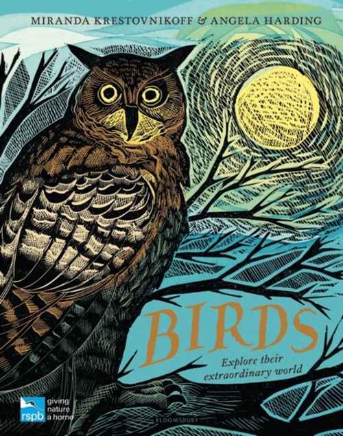 RSPB BIRDS: EXPLORE THEIR EXTRAORDINARY WORLD 1