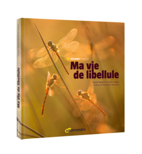 MA VIE DE LIBELLULE. COLLECTION HISTOIRES D'IMAGES 1