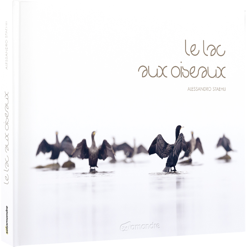 LE LAC AUX OISEAUX 1