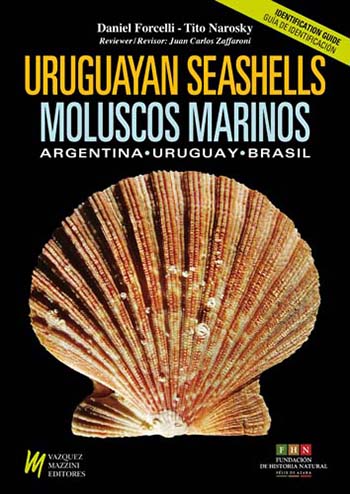 MOLUSCOS MARINOS DE ARGENTINA, URUGUAY Y BRASIL 1