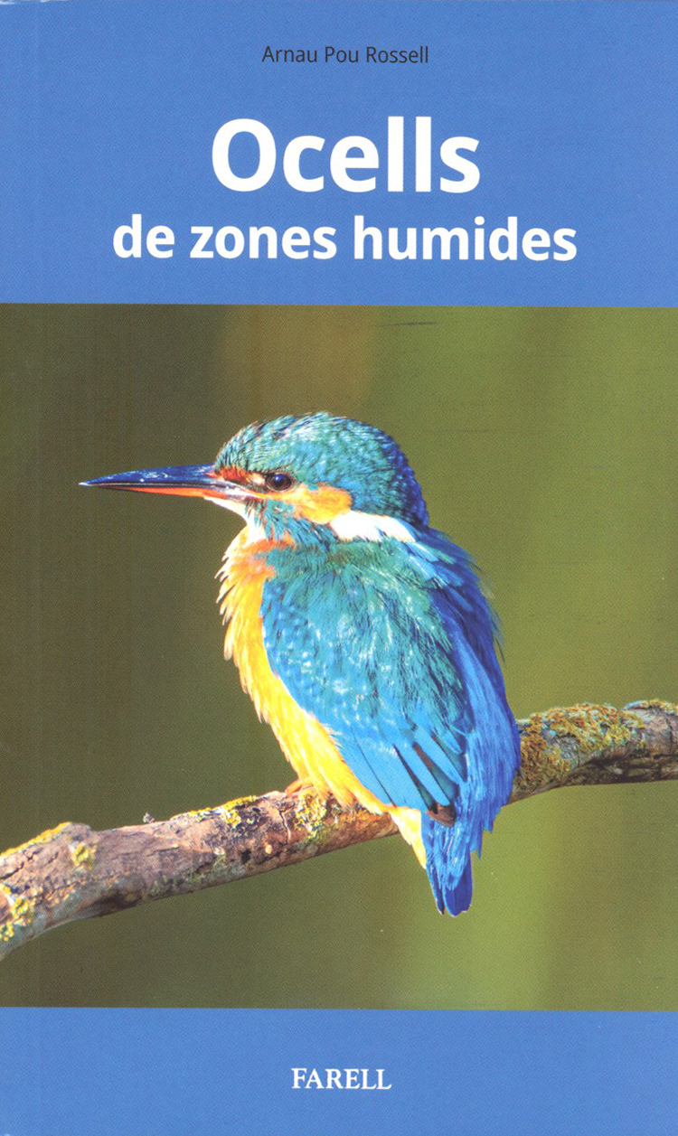 OCELLS DE ZONES HUMIDES 1