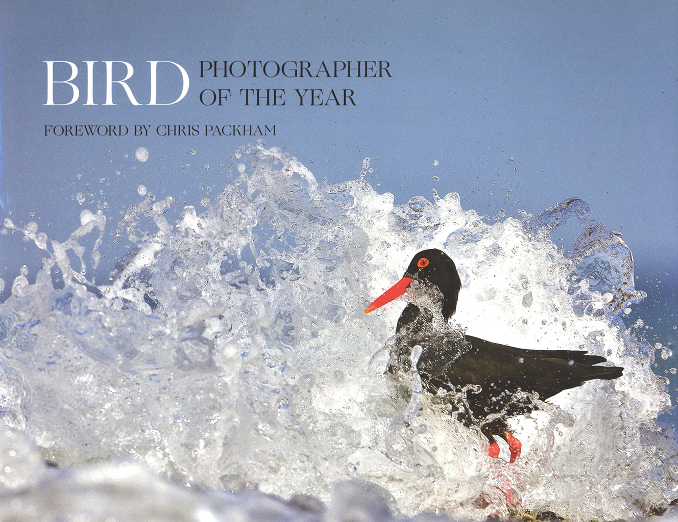 BIRD PHOTOGRAPHER OF THE YEAR: COLLECTION 5 1