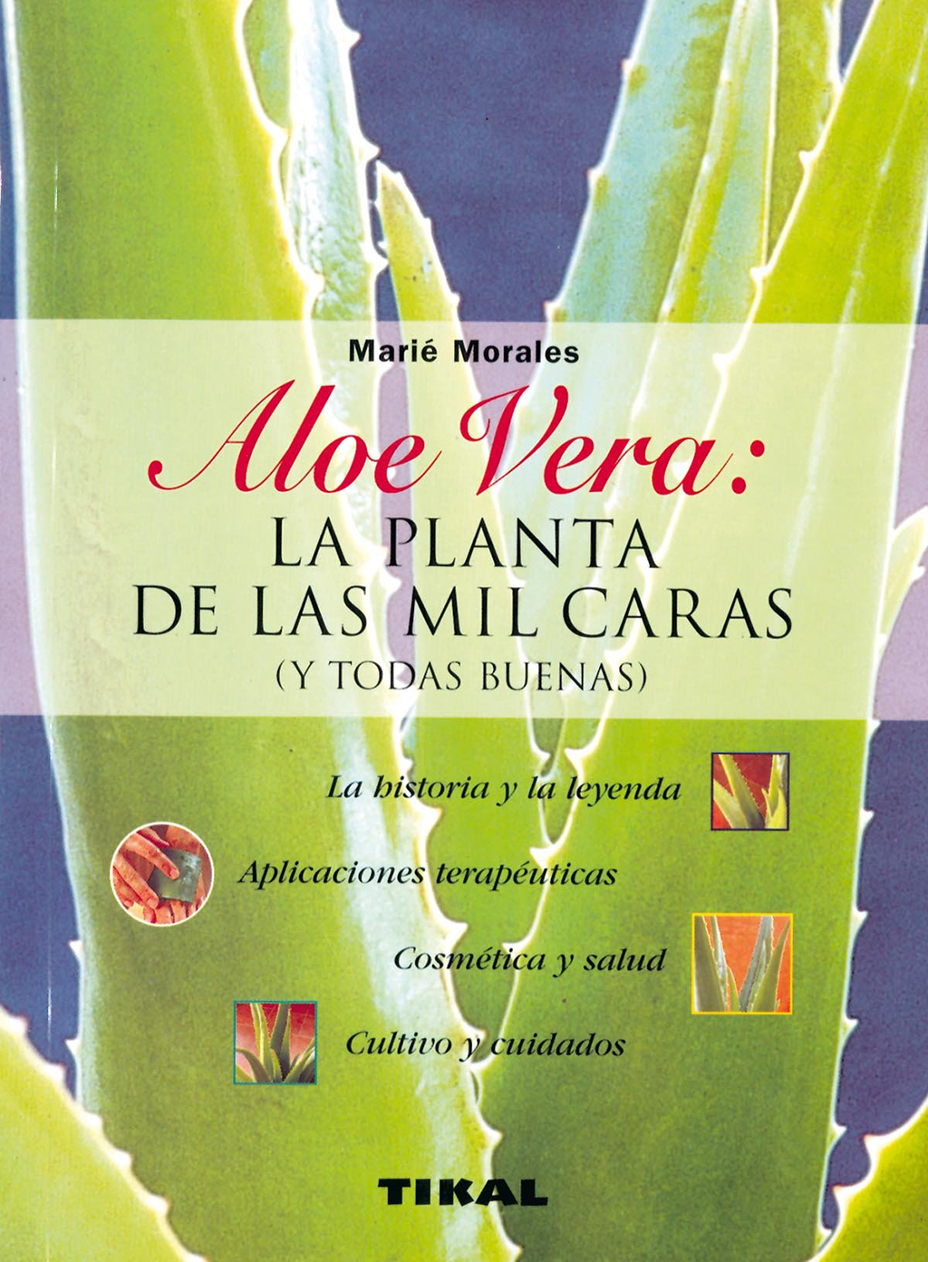 ALOE VERA: LA PLANTA DE LAS MIL CARAS (Y TODAS BUENAS) 1
