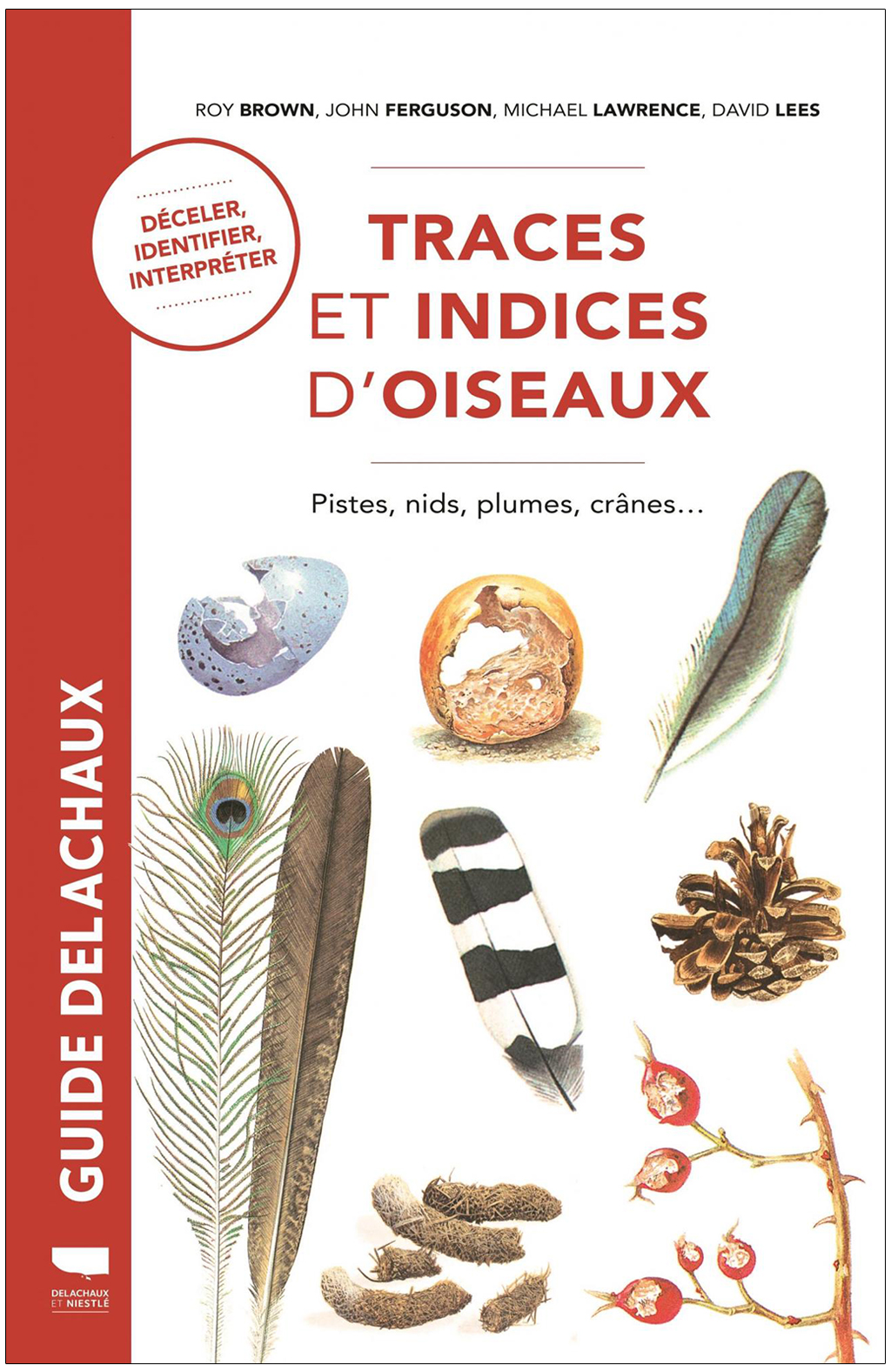 TRACES ET INDICES D'OISEAUX 1