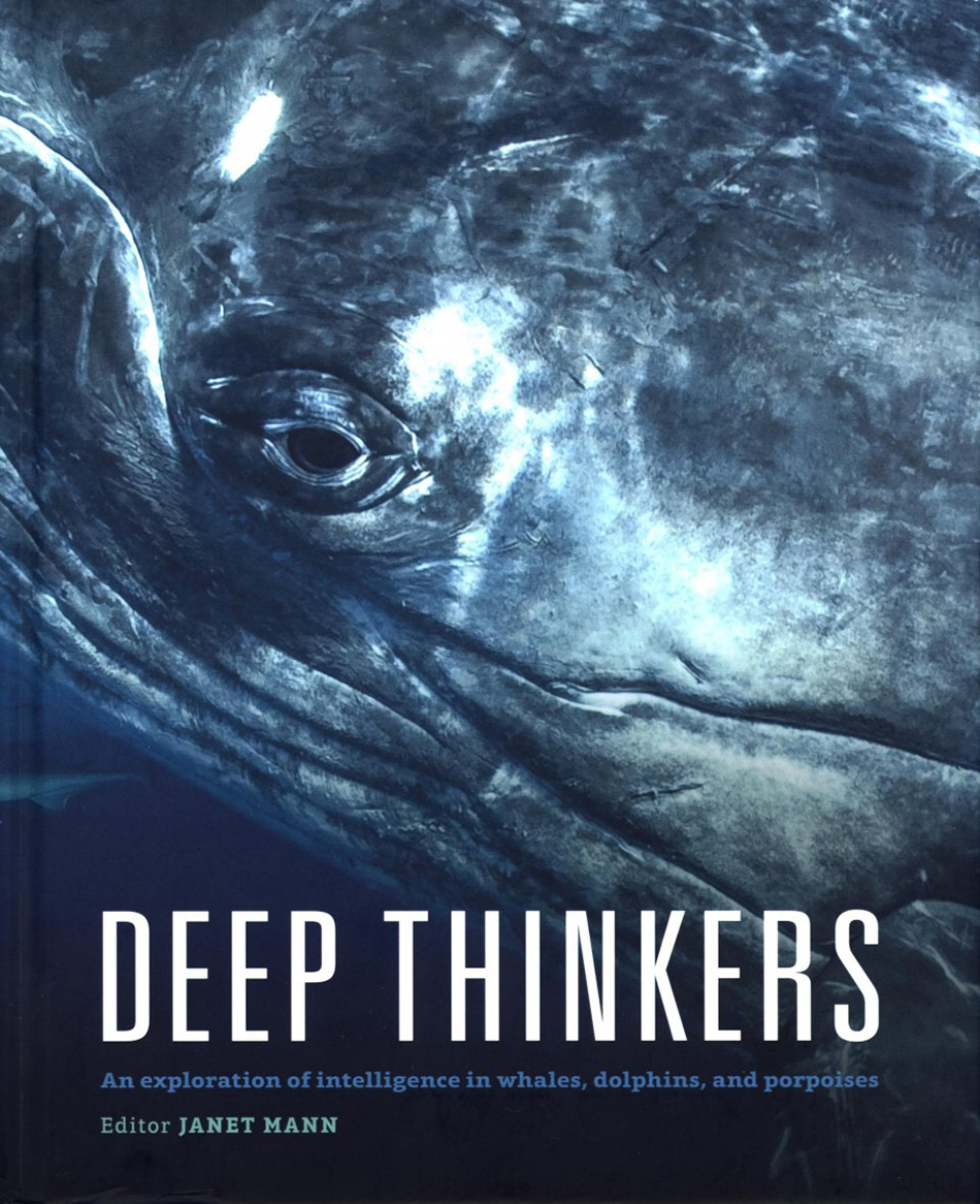 DEEP THINKERS: AN EXPLORATION OF INTELLIGENCE IN WHALES, DOLPHINS AND PORPOISES 1