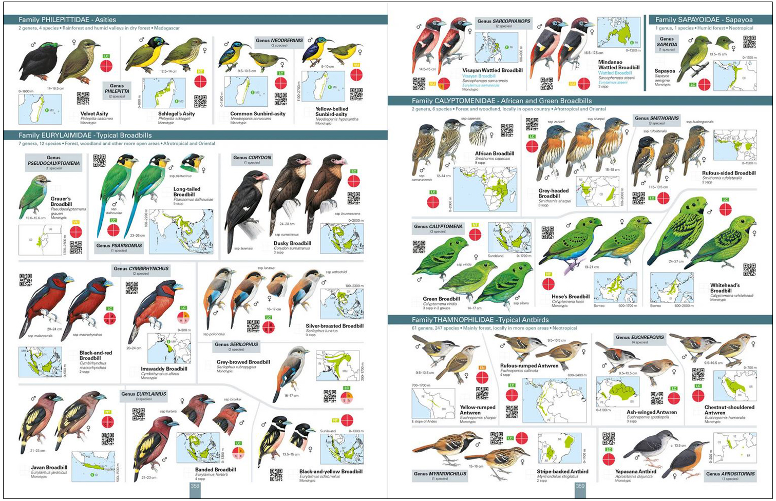 ALL THE BIRDS OF THE WORLD 4