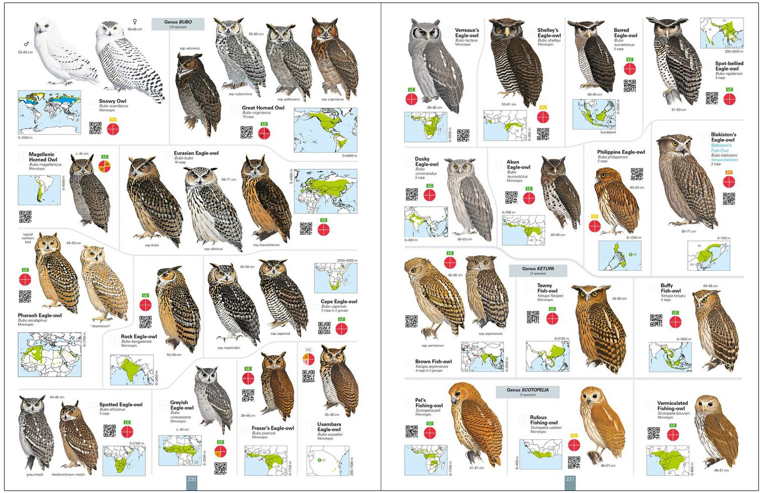 ALL THE BIRDS OF THE WORLD 5