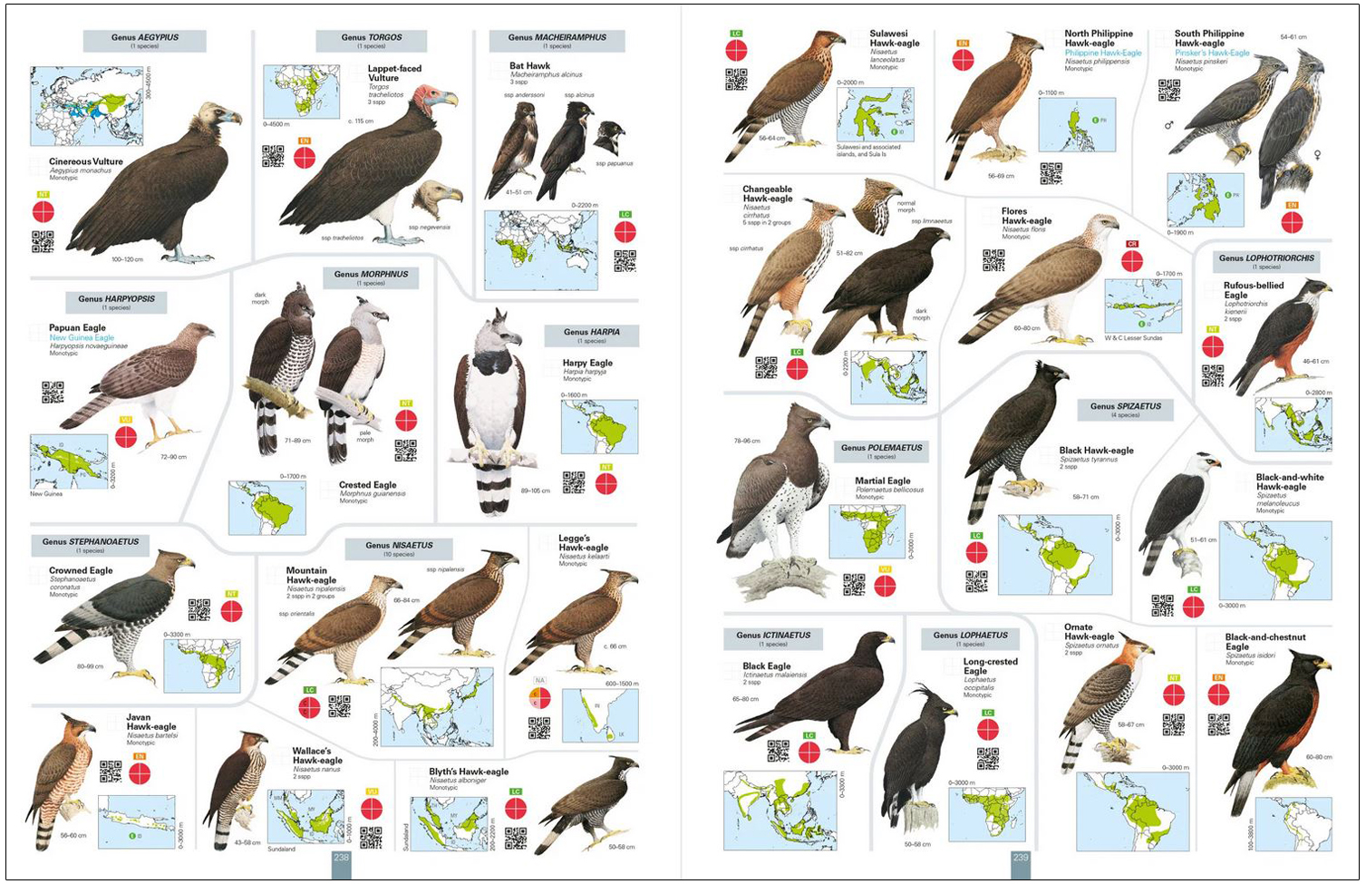 ALL THE BIRDS OF THE WORLD 6