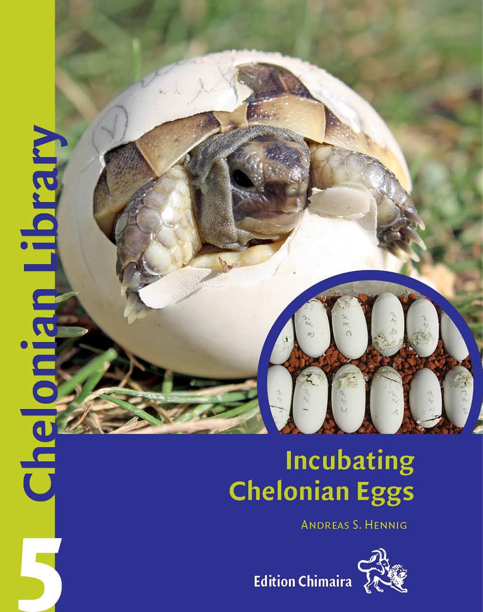 INCUBATING CHELONIAN EGGS 1