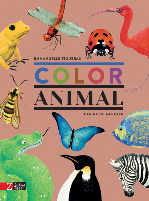 COLOR ANIMAL 1