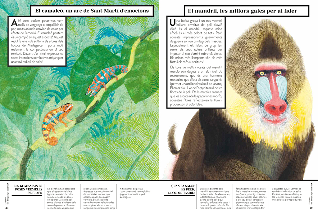 COLOR ANIMAL 3