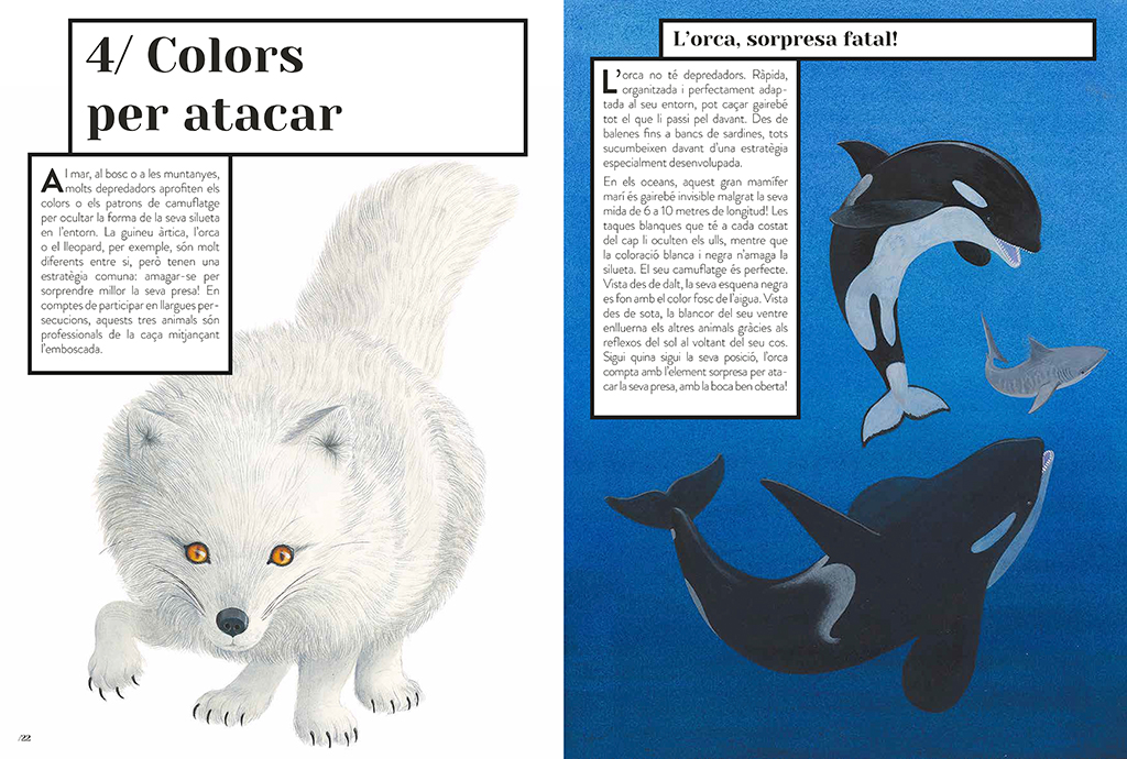 COLOR ANIMAL 4