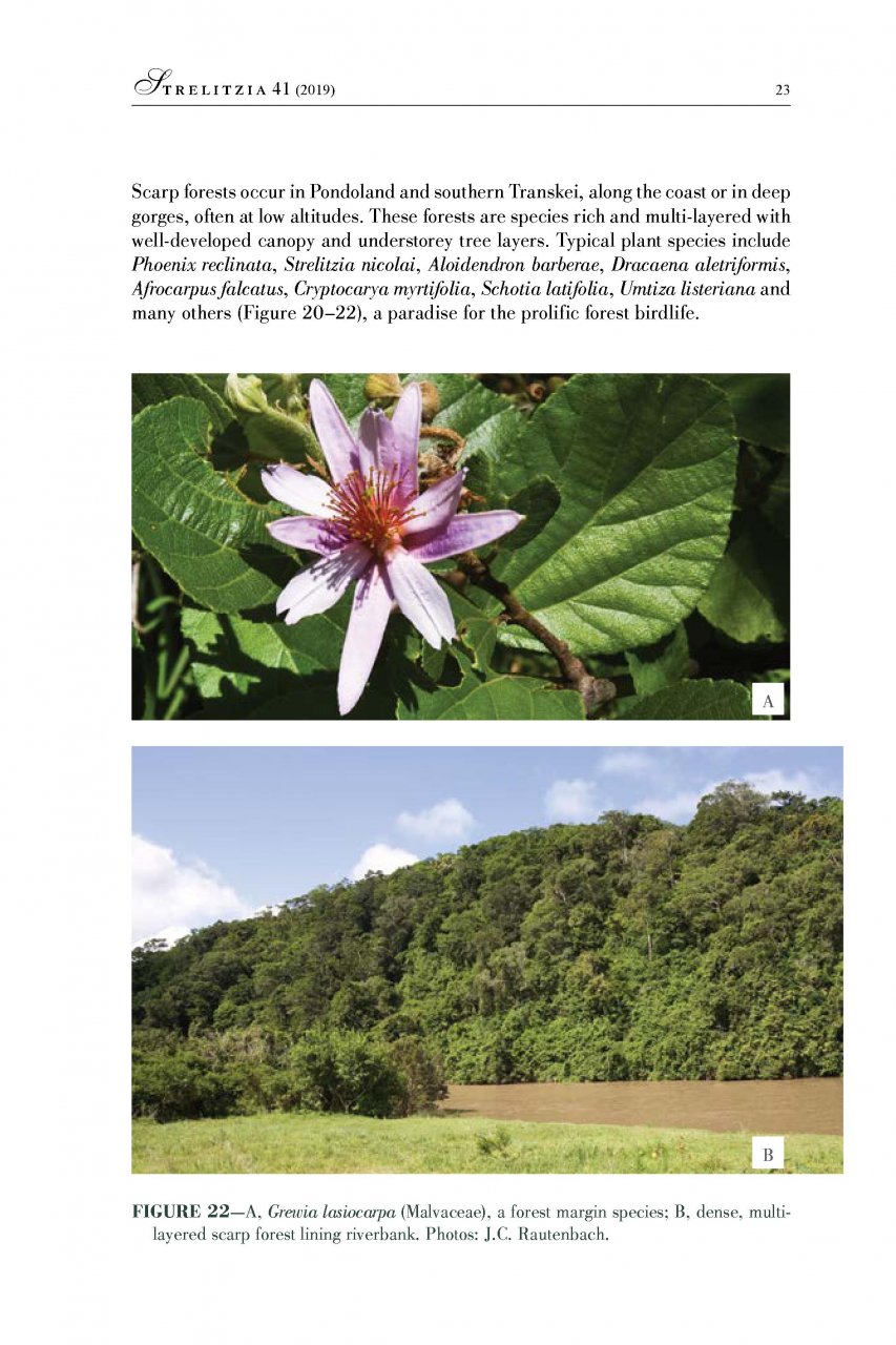 A FLORA OF THE EASTERN CAPE PROVINCE. SET 3 VOLUME 2