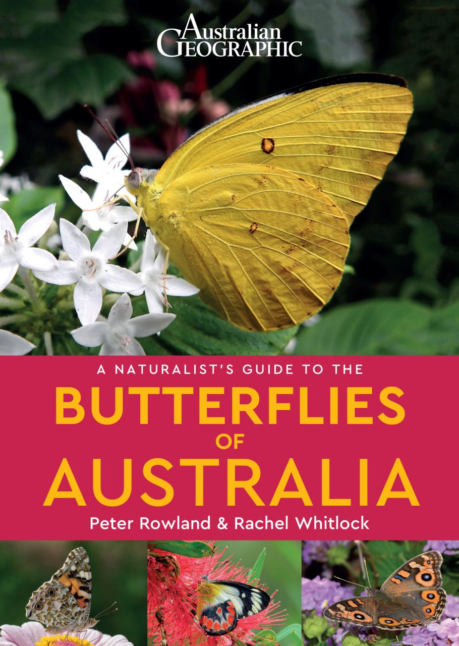 A NATURALIST'S GUIDE TO THE BUTTERFLIES OF AUSTRALIA 1