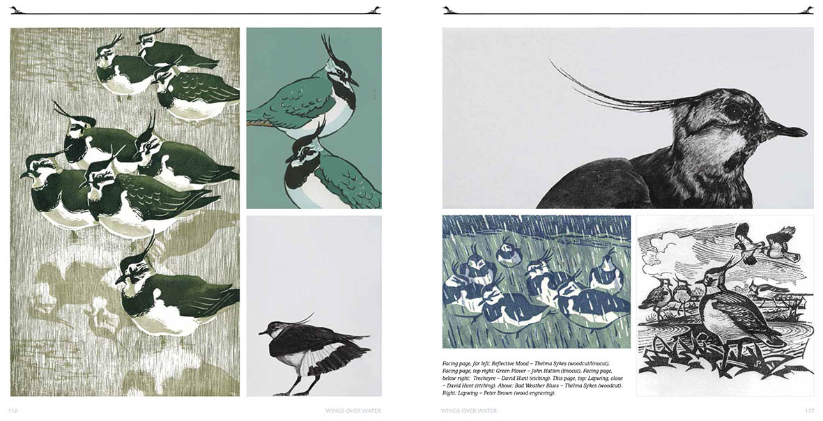 WINGS OVER WATER. WADERS, WILDFOWL, SEABIRDS &AMP; MORE 2
