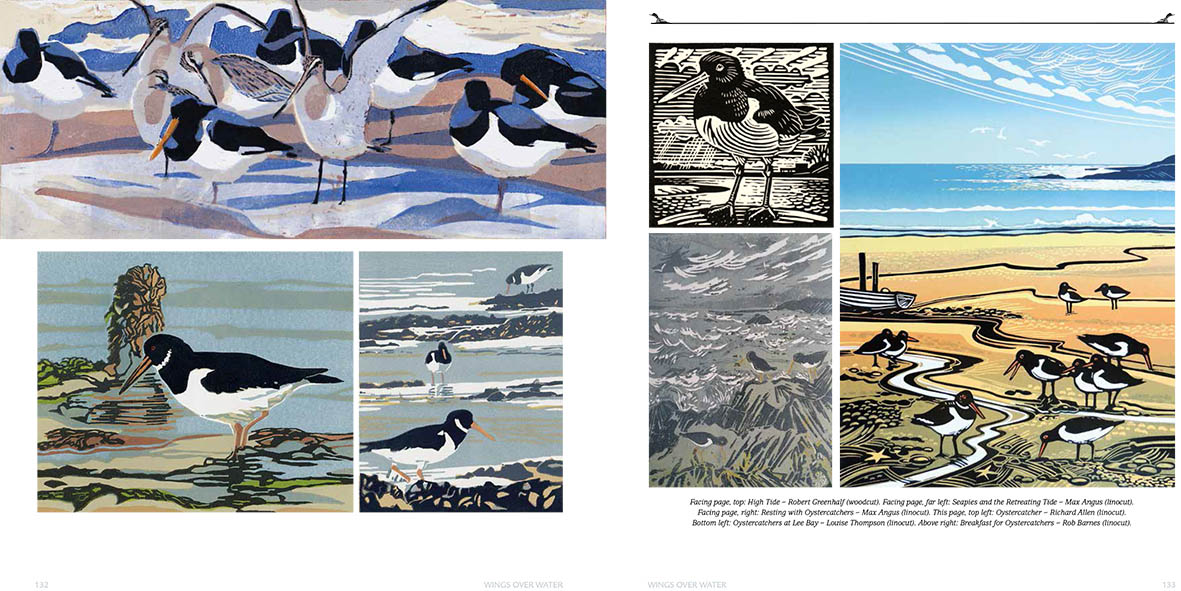 WINGS OVER WATER. WADERS, WILDFOWL, SEABIRDS &AMP; MORE 3
