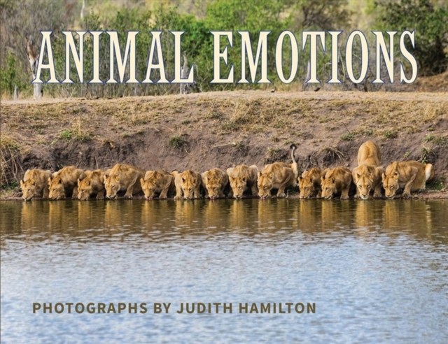 ANIMAL EMOTIONS 1