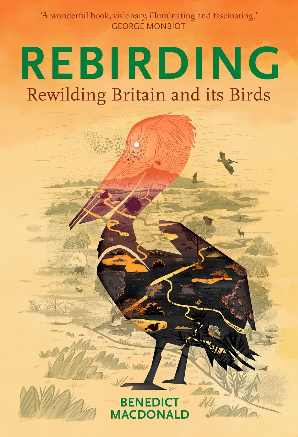 REBIRDING: RESTORING BRITAIN'S WILDLIFE 1