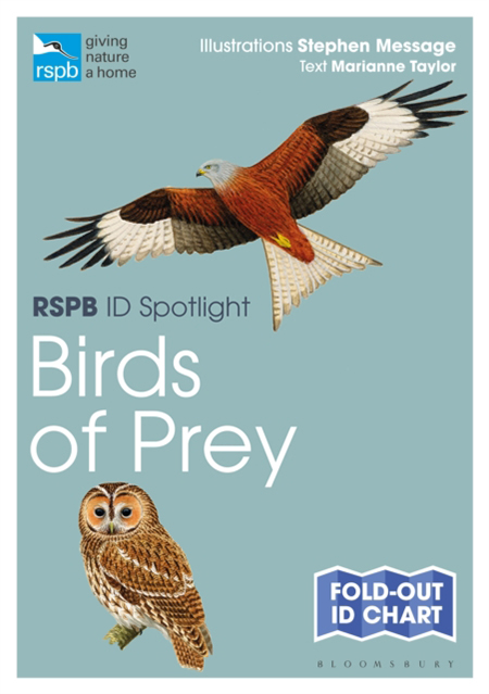 RSPB ID SPOTLIGHT: BIRDS OF PREY 1