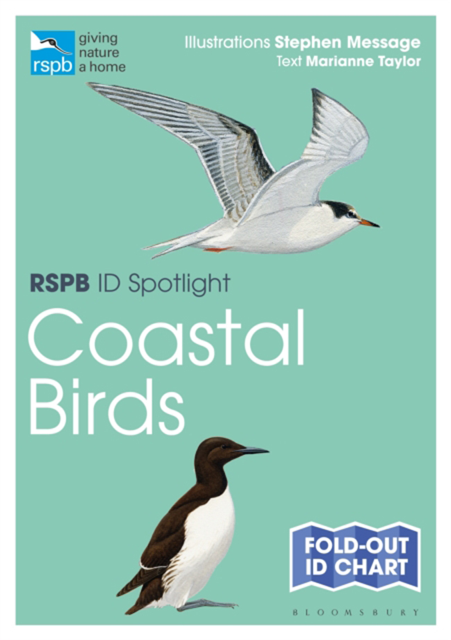 RSPB ID SPOTLIGHT: COASTAL BIRDS 1