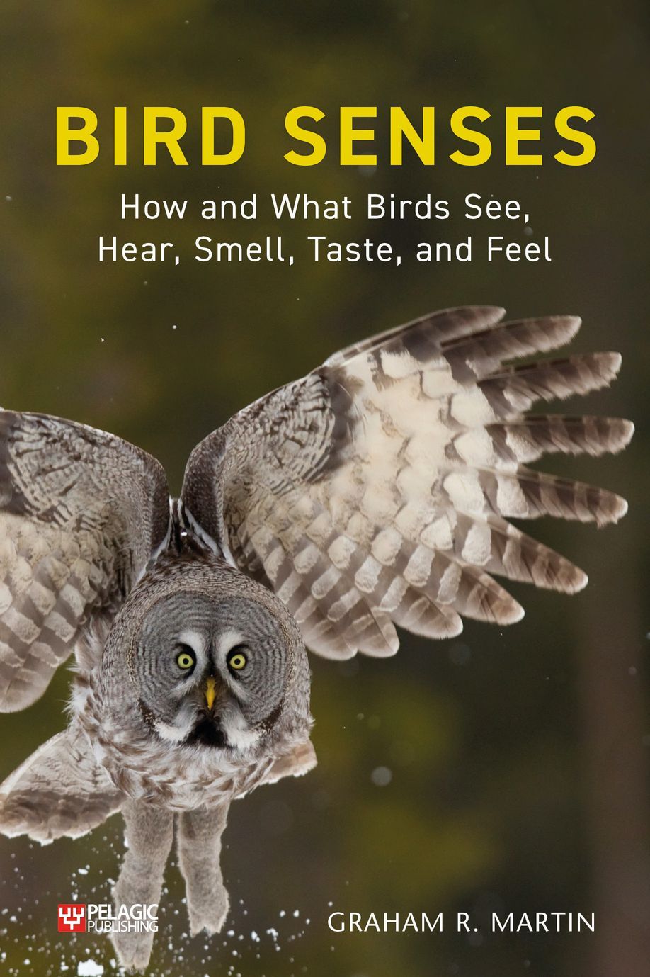 BIRD SENSES: HOW AND WHAT BIRDS SEE, HEAR, SMELL, TASTE AND FEEL 1