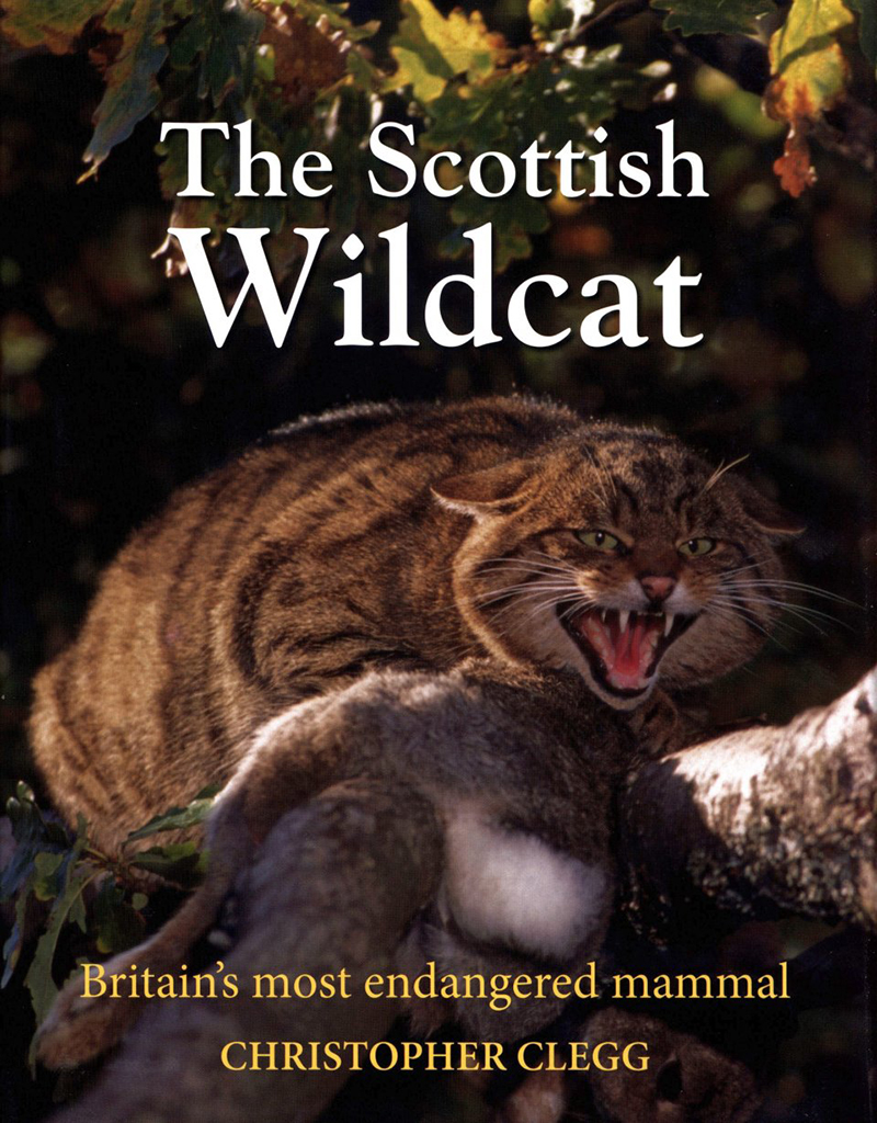 THE SCOTTISH WILDCAT: BRITAIN'S MOST ENDANGERED MAMMAL 1