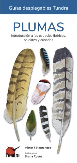 PLUMAS. INTRODUCCIÓN A LAS ESPECIES IBÉRICAS, BALEARES Y CANARIAS. GUÍAS DESPLEGABLES TUNDRA 1