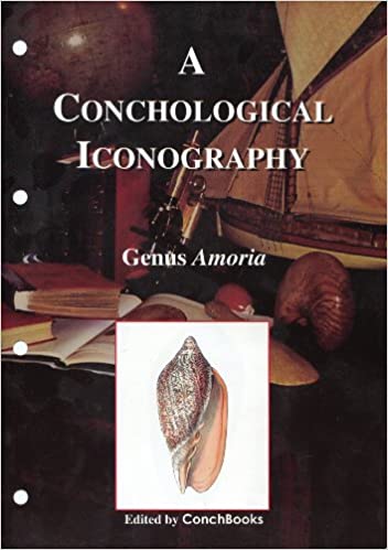 A CONCHOLOGICAL ICONOGRAPHY. GENUS AMORIA 1