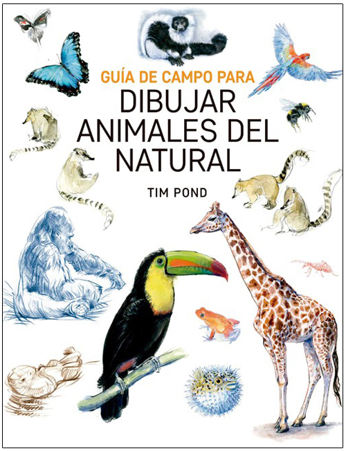 GUÍA DE CAMPO PARA DIBUJAR ANIMALES DEL NATURAL 1