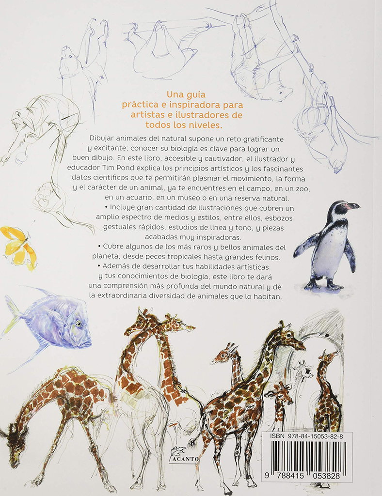 GUÍA DE CAMPO PARA DIBUJAR ANIMALES DEL NATURAL 5