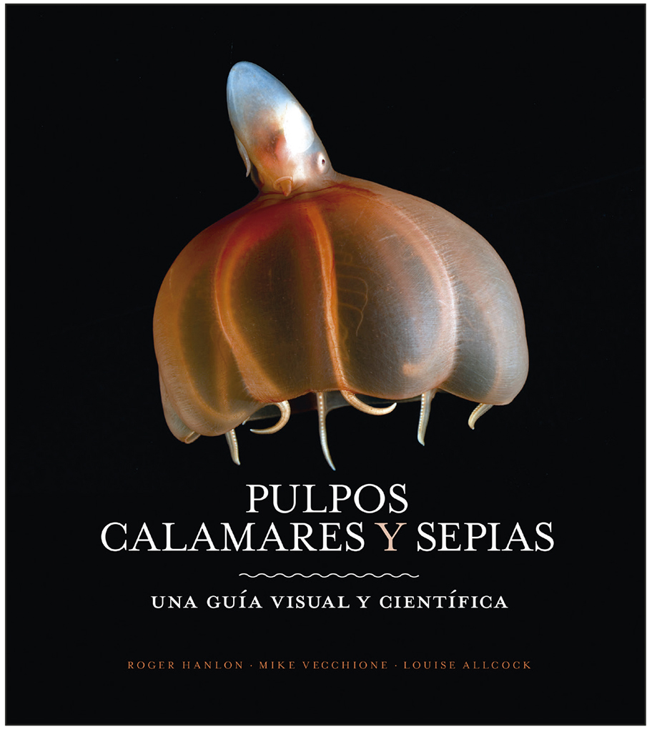 PULPOS, CALAMARES Y SEPIAS. UNA GUÍA VISUAL Y CIENTÍFICA 1
