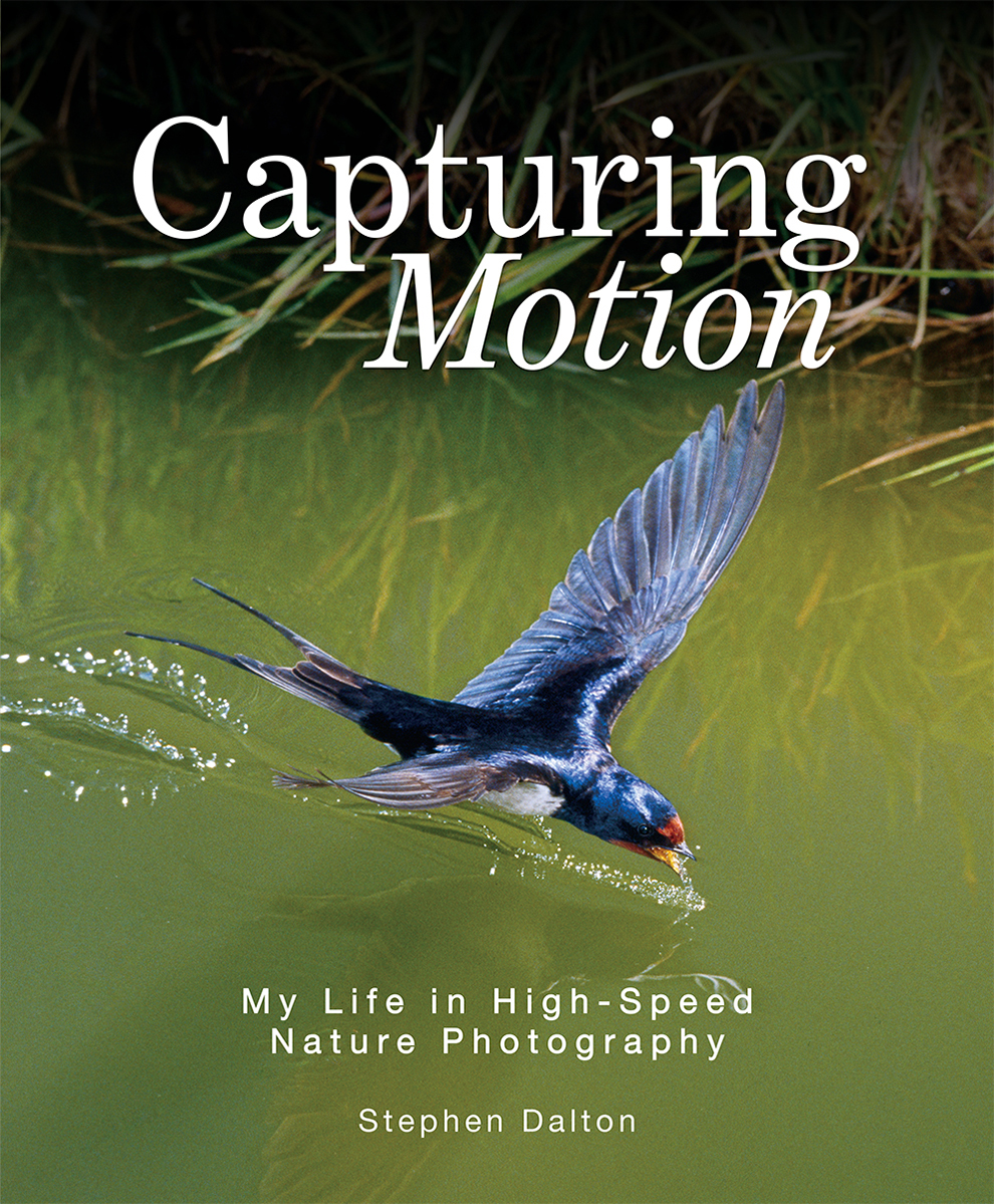 CAPTURING MOTION: MY LIFE IN HIGH SPEED NATURE PHOTOGRAPHY 1