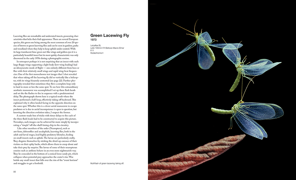 CAPTURING MOTION: MY LIFE IN HIGH SPEED NATURE PHOTOGRAPHY 6