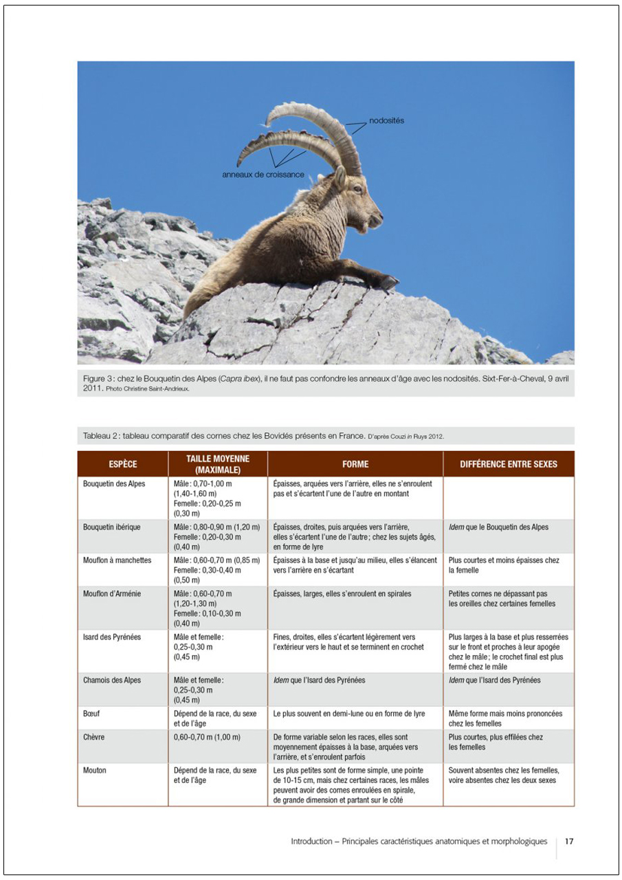 ATLAS DES MAMMIFÈRES SAUVAGES DE FRANCE. VOLUME 2: ONGULÉS ET LAGOMORPHES 3