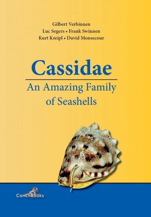 CASSIDAE. AN AMAZING FAMILY OF SEASHELLS 1