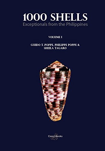 1000 SHELLS. EXCEPTIONALS FROM THE PHILIPPINES 1