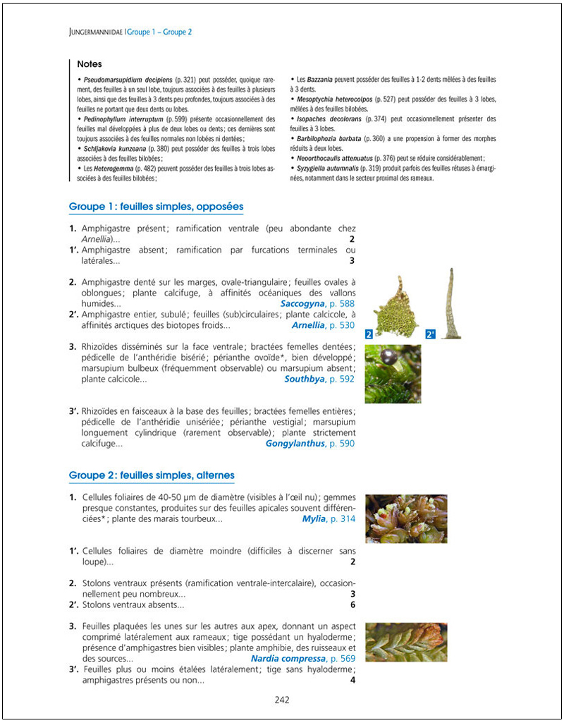 LES BRYOPHYTES DE FRANCE TOME 1. ANTHOCÉROTES ET HÉPATIQUES 4