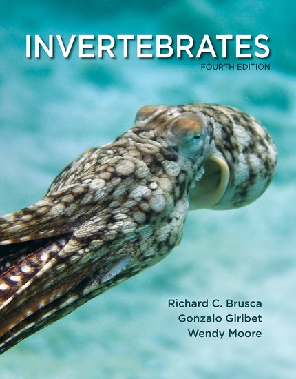 INVERTEBRATES 1