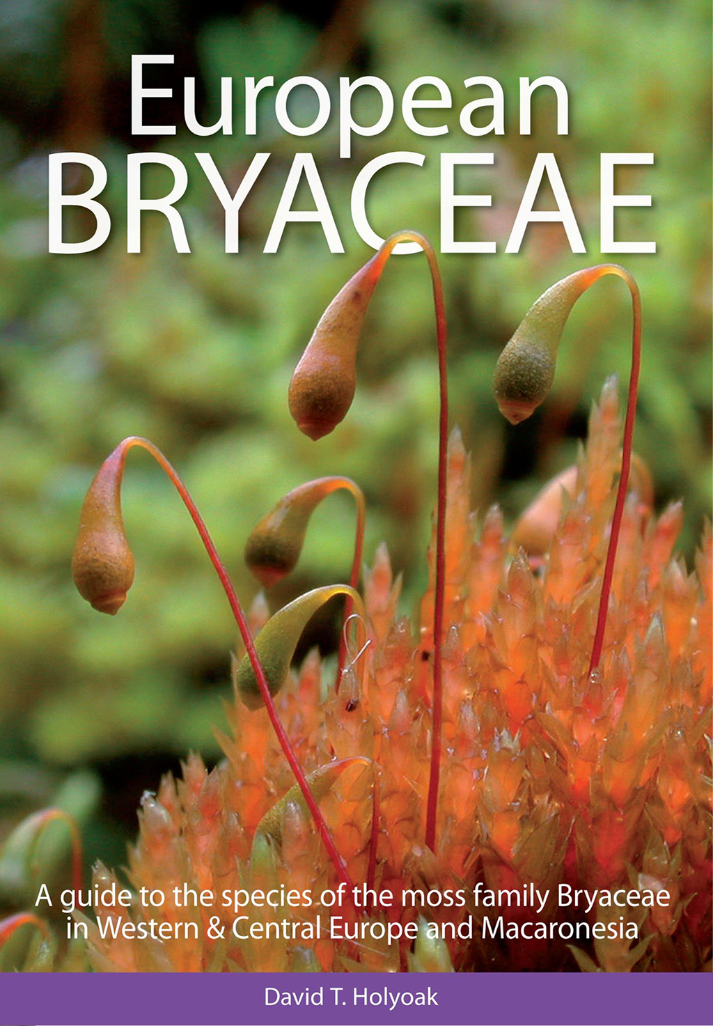 EUROPEAN BRYACEAE. A GUIDE TO THE SPECIES OF THE MOSS FAMILY BRYACEAE IN WESTERN &AMP; CENTRAL EUROPE AND MACARONESIA 1